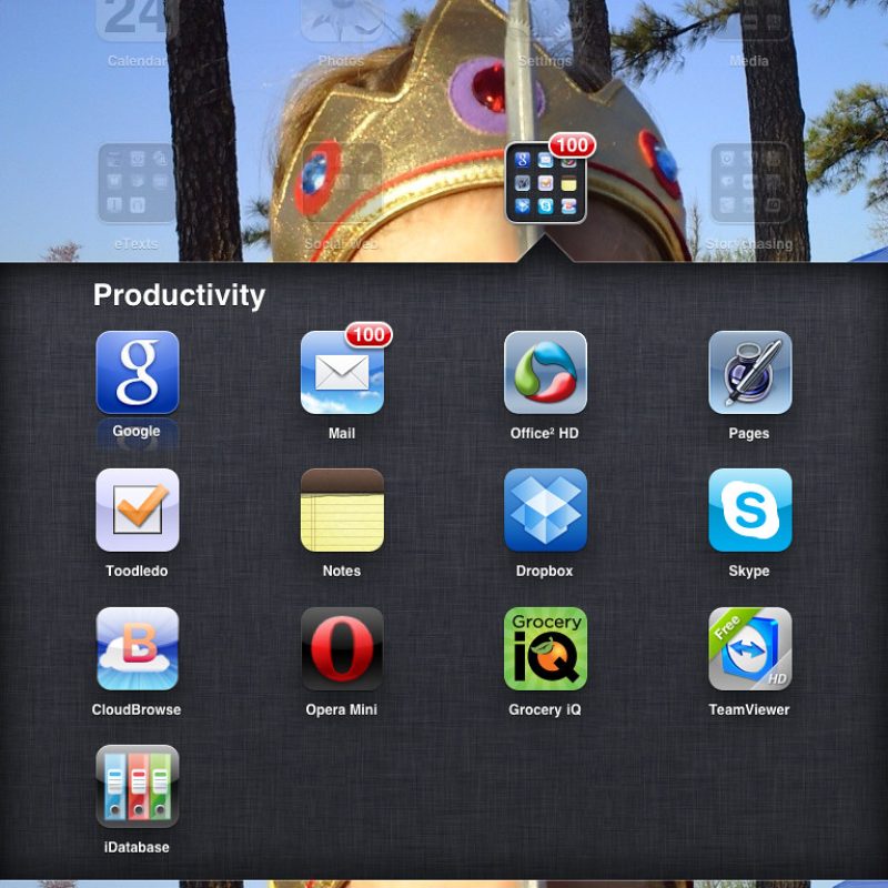 Productivity App (1yr License)